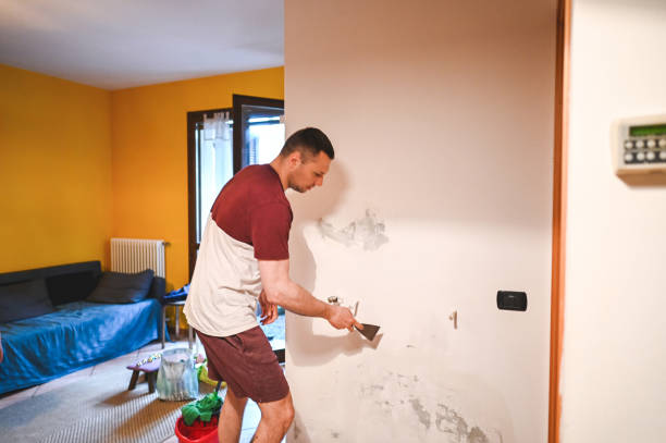 Best Preventive Mold Services in Calhoun Falls, SC
